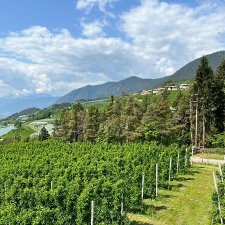 Вилла Agritur Maso Forcola Брец Экстерьер фото
