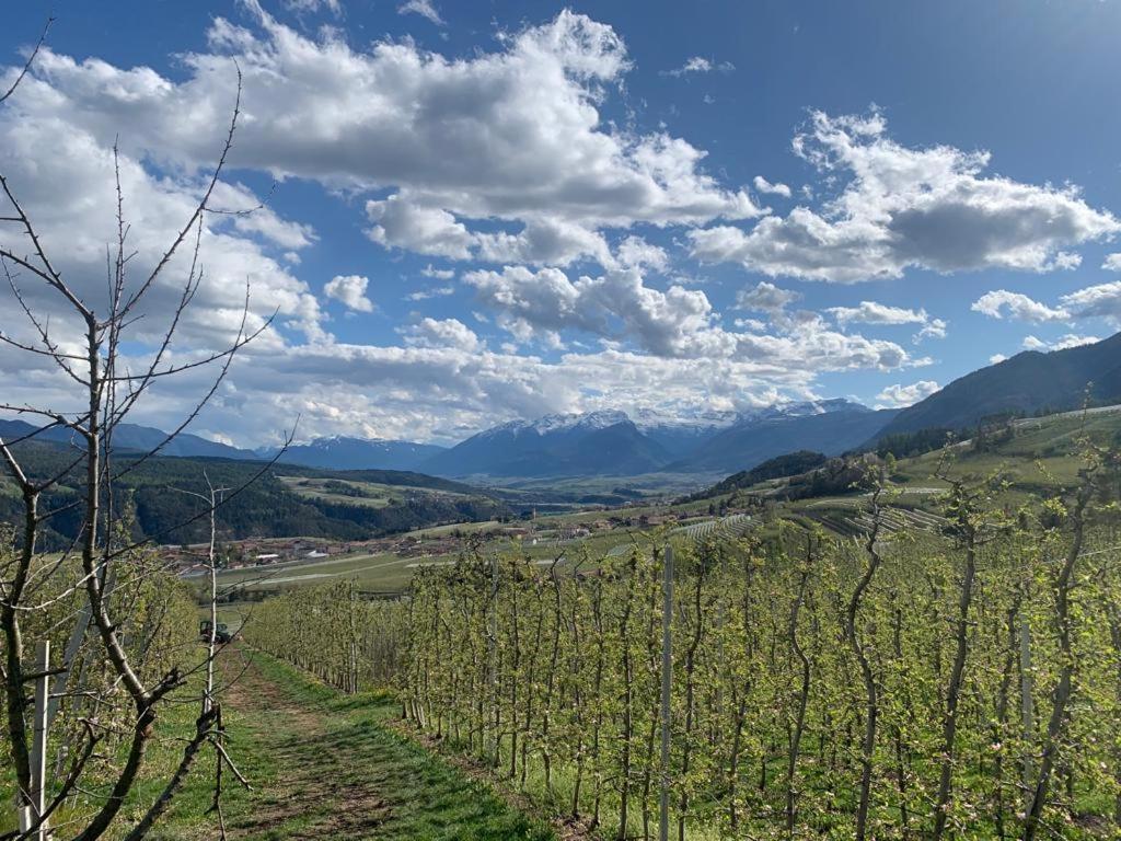 Вилла Agritur Maso Forcola Брец Экстерьер фото