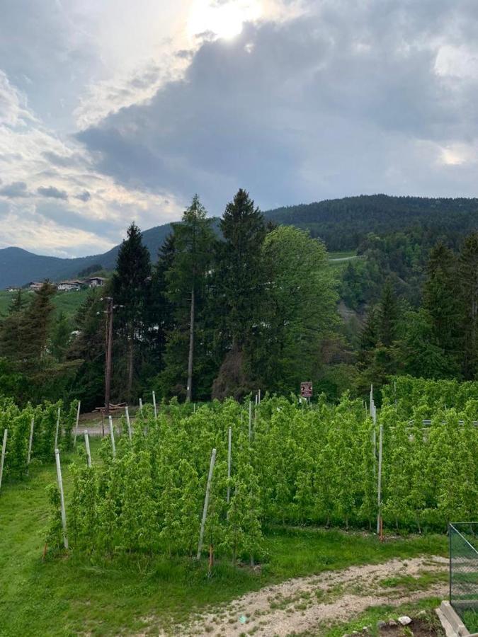 Вилла Agritur Maso Forcola Брец Экстерьер фото