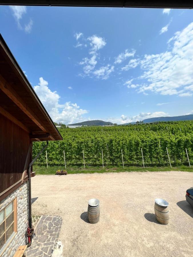 Вилла Agritur Maso Forcola Брец Экстерьер фото