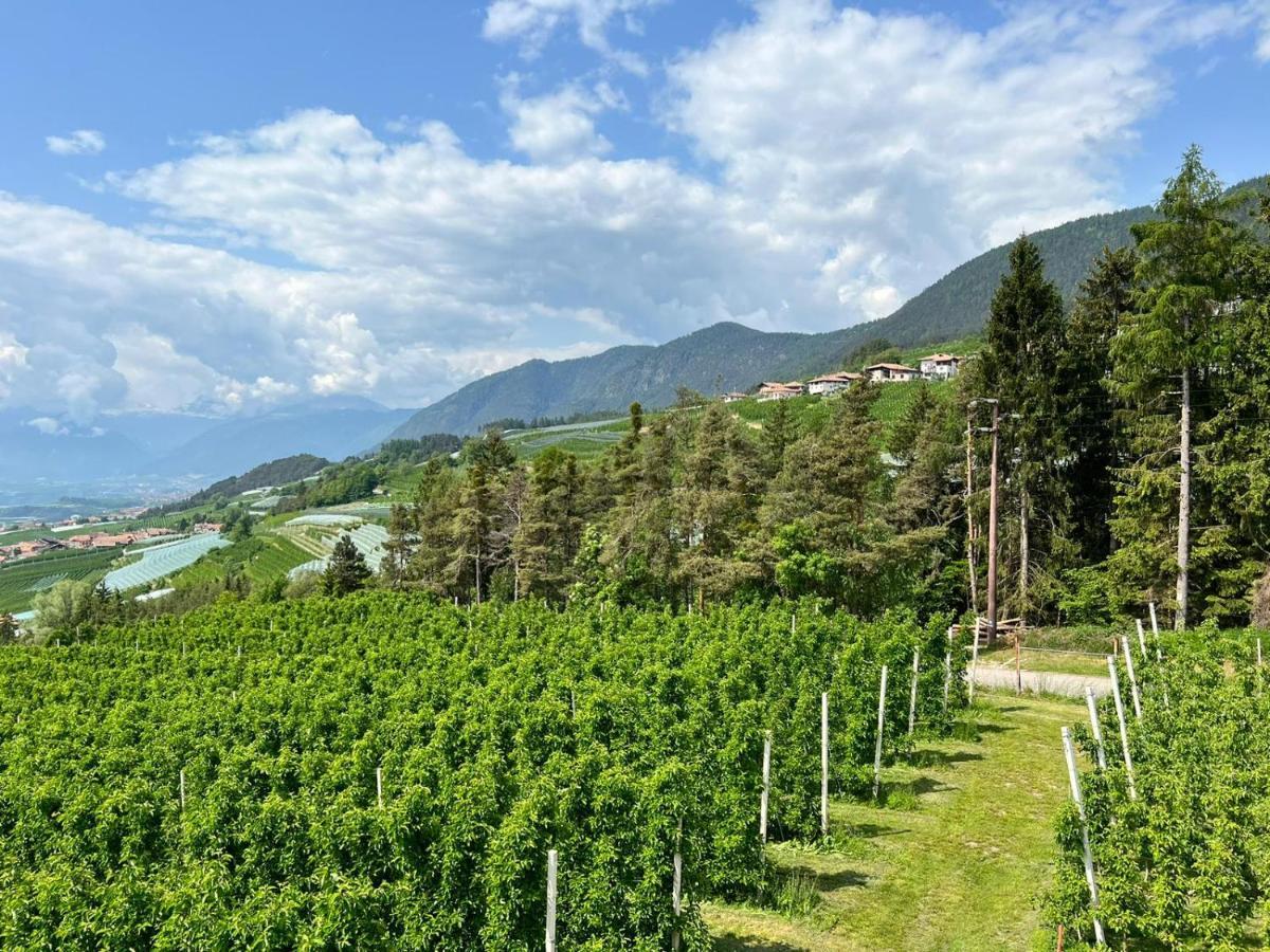 Вилла Agritur Maso Forcola Брец Экстерьер фото