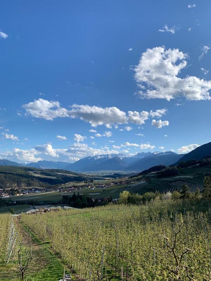 Вилла Agritur Maso Forcola Брец Экстерьер фото