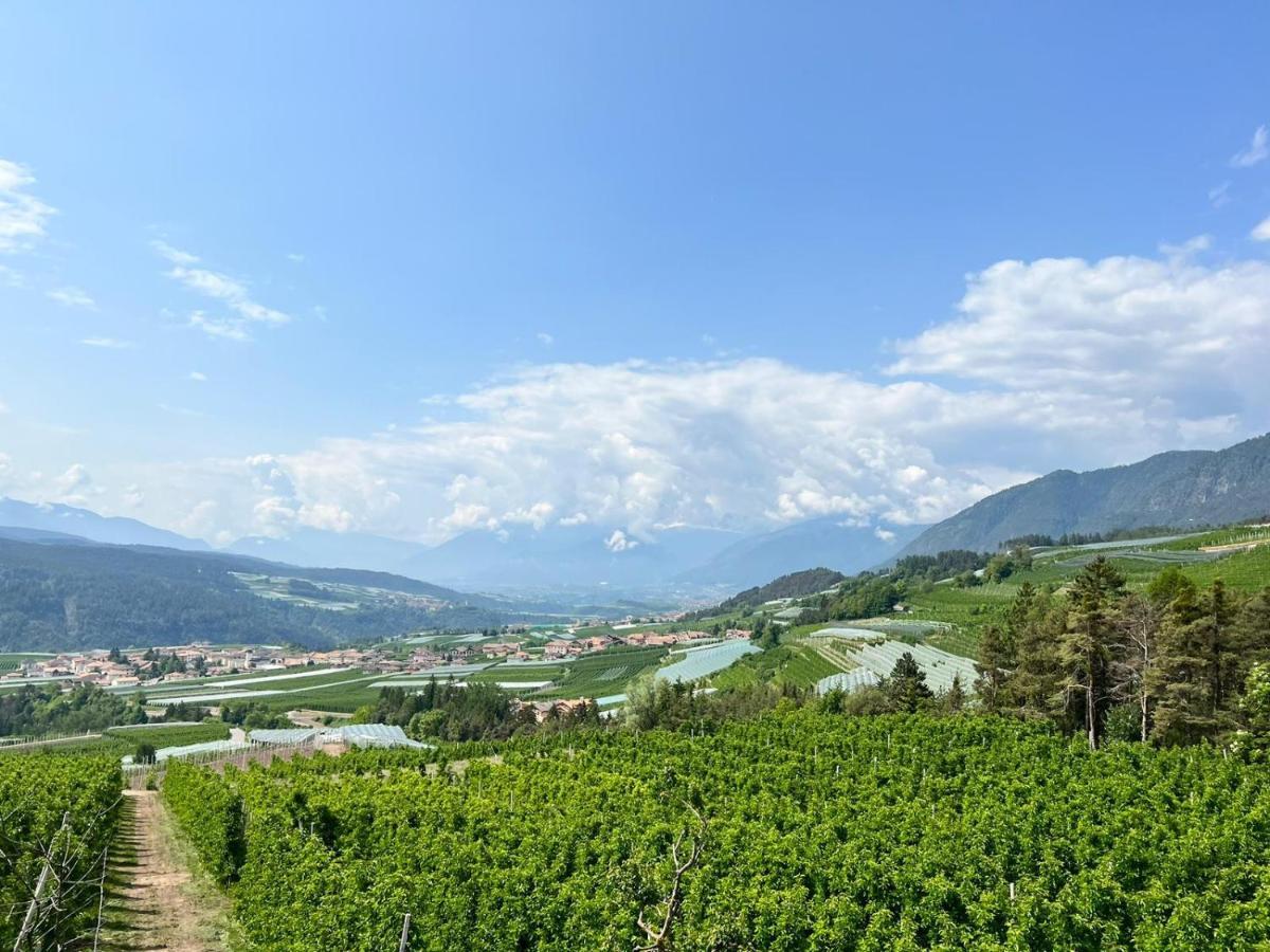 Вилла Agritur Maso Forcola Брец Экстерьер фото