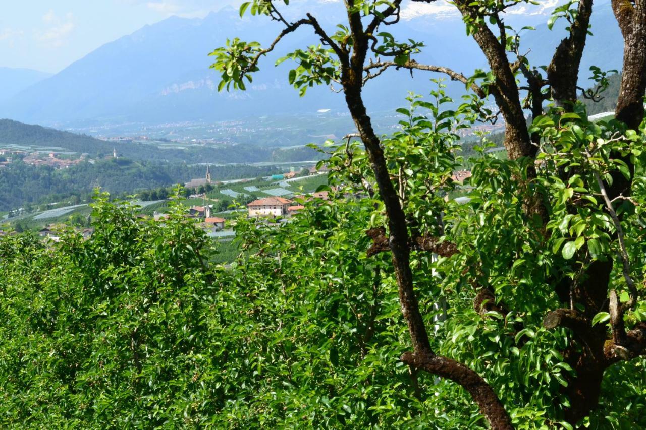 Вилла Agritur Maso Forcola Брец Экстерьер фото